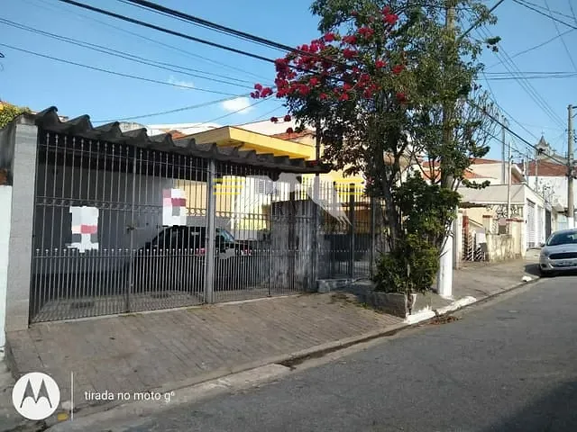 Terreno com 446m², à venda, no bairro Vila Formosa em São Paulo
