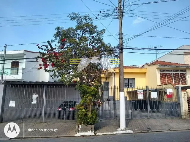 Terreno com 446m², à venda, no bairro Vila Formosa em São Paulo