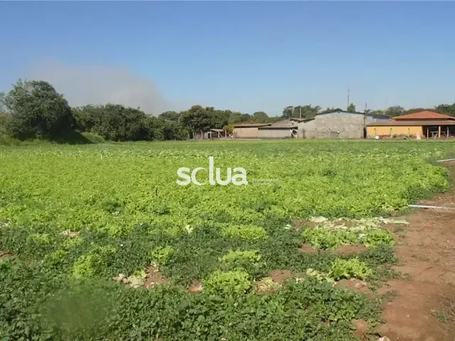 Terreno com 66726m², à venda, no bairro Conjunto Habitacional Residencial Olímpia em Campinas