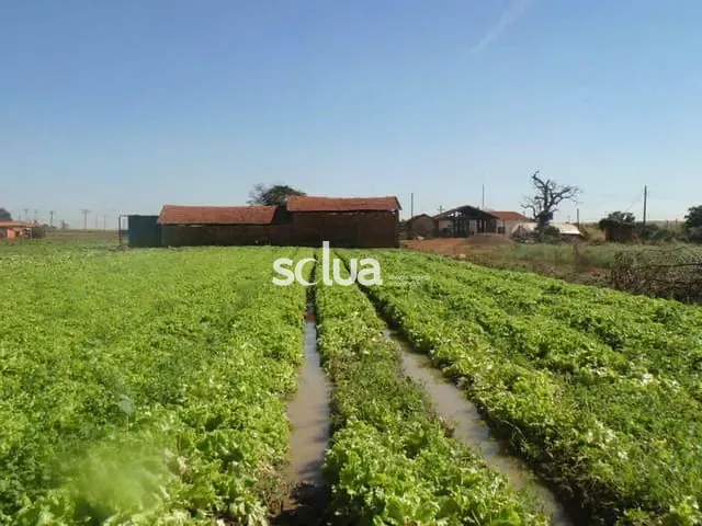 Terreno com 66726m², à venda, no bairro Conjunto Habitacional Residencial Olímpia em Campinas