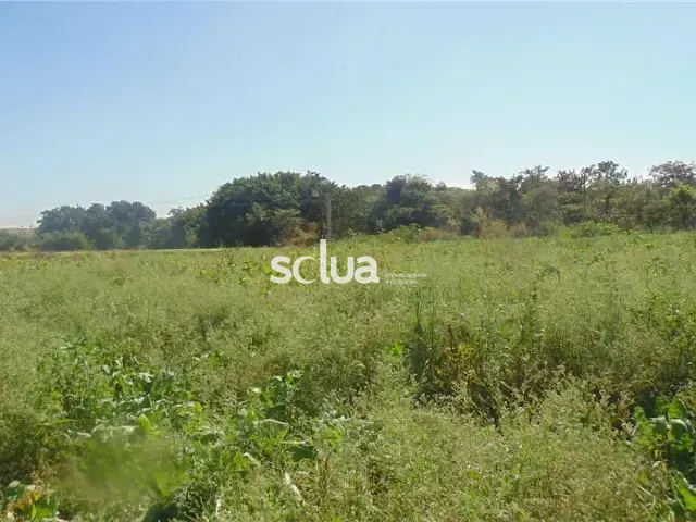 Terreno com 66726m², à venda, no bairro Conjunto Habitacional Residencial Olímpia em Campinas