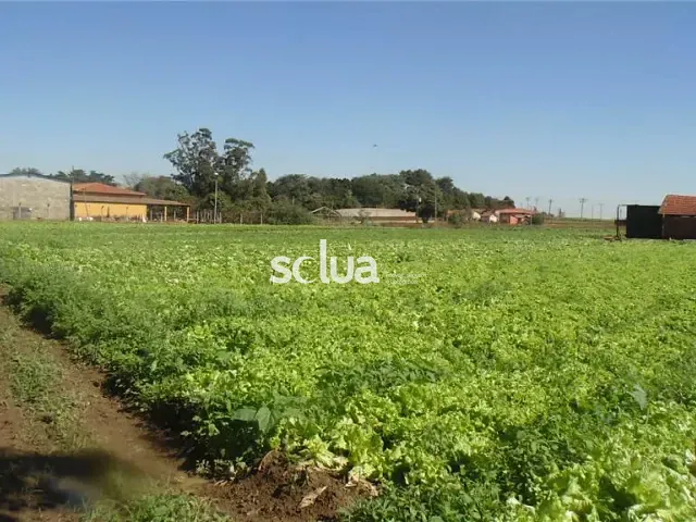 Terreno com 66726m², à venda, no bairro Conjunto Habitacional Residencial Olímpia em Campinas