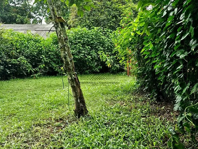 Terreno com 350m², à venda, no bairro Ilha do Mel em Paranaguá