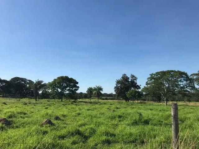 Terreno com 8000m², à venda, no bairro Paraiso do Tocantins em Paraíso do Tocantins