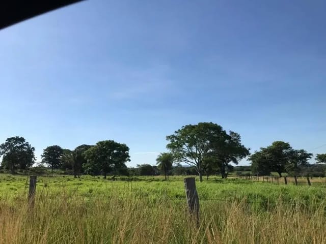 Terreno com 8000m², à venda, no bairro Paraiso do Tocantins em Paraíso do Tocantins