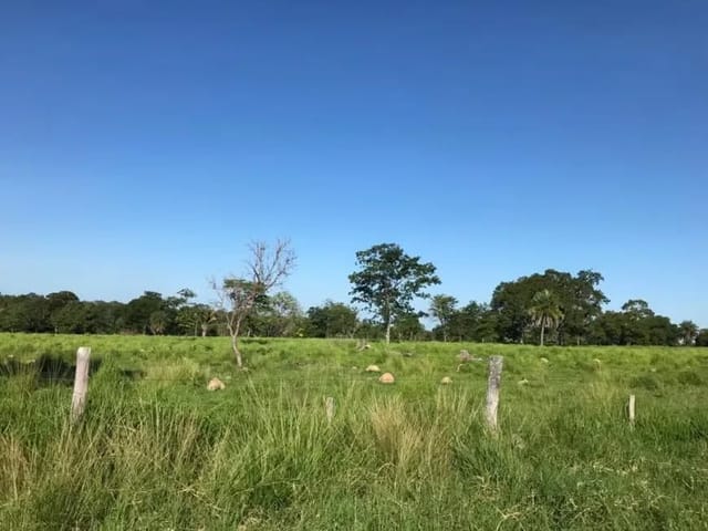 Terreno com 8000m², à venda, no bairro Paraiso do Tocantins em Paraíso do Tocantins