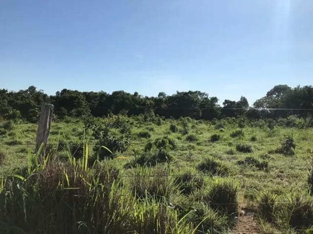 Terreno com 8000m², à venda, no bairro Paraiso do Tocantins em Paraíso do Tocantins