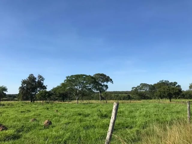 Terreno com 8000m², à venda, no bairro Paraiso do Tocantins em Paraíso do Tocantins