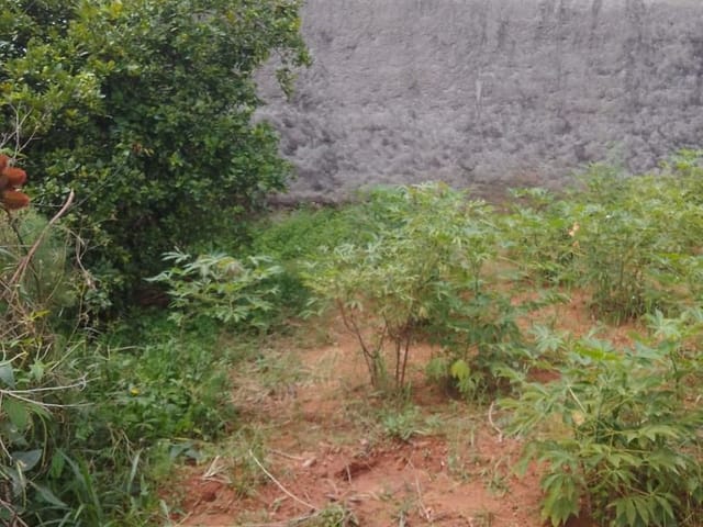 Foto do Terreno - Terreno à venda, 250 m² por - Cidade Nova - Jundiaí/SP | Copette Imóveis