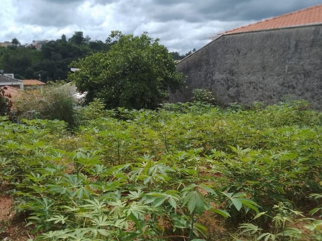 Foto do Terreno - Terreno à venda, 250 m² por - Cidade Nova - Jundiaí/SP | Copette Imóveis