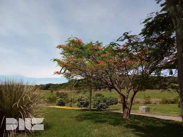 Terreno à venda, no bairro Alphaville Brasília em Cidade Ocidental