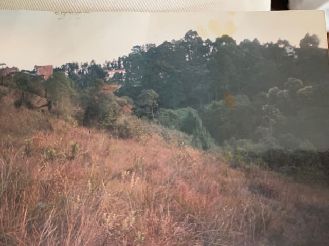 Terreno com 1180m², à venda, no bairro Colinas de Capivari em Campos do Jordão