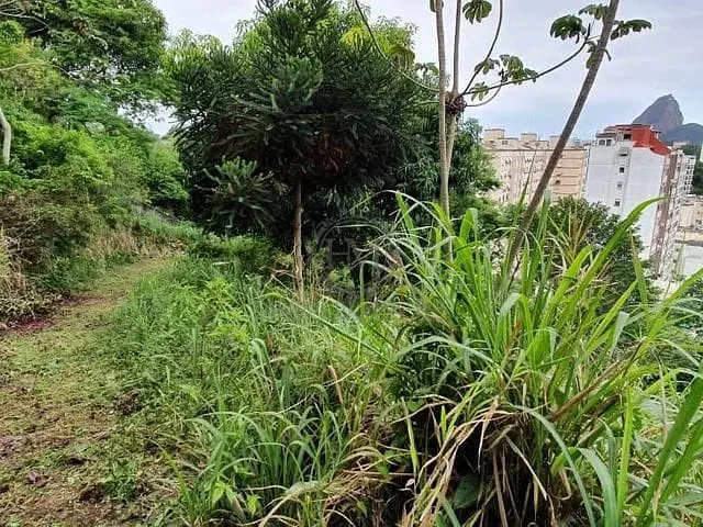Terreno com 8000m², à venda, no bairro Laranjeiras em Rio de Janeiro