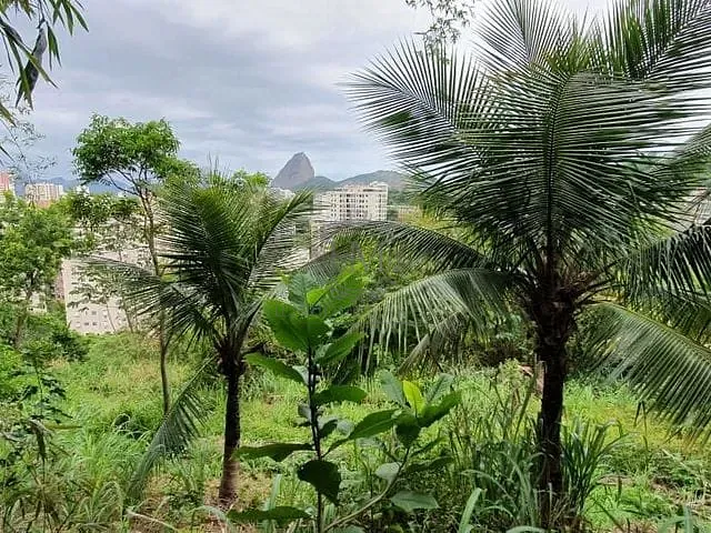 Terreno com 8000m², à venda, no bairro Laranjeiras em Rio de Janeiro