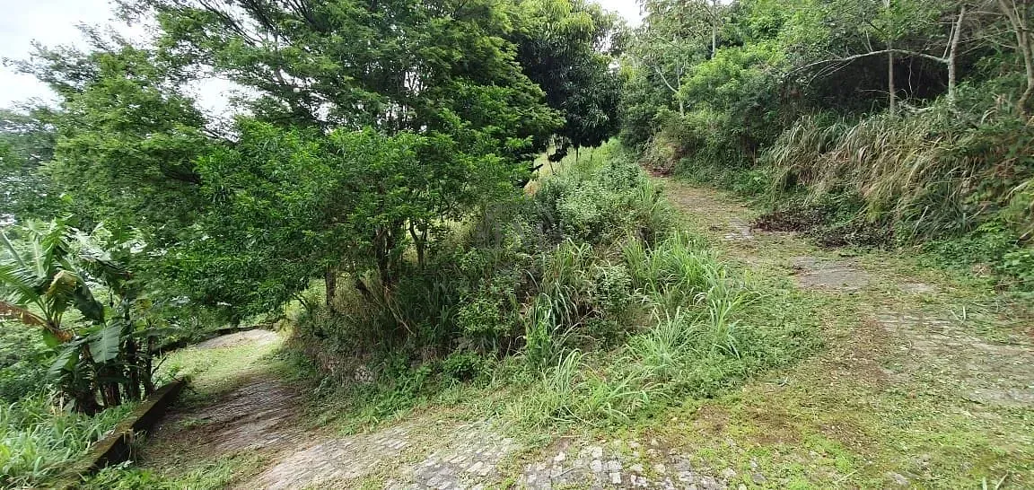 Terreno, 8000 m² - Foto 8
