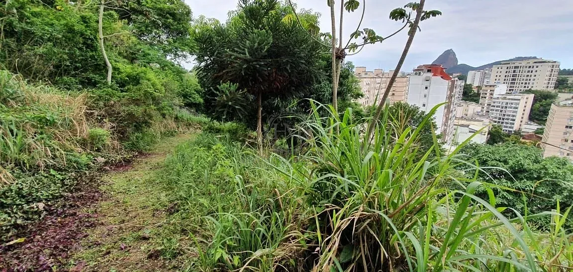Terreno, 8000 m² - Foto 5
