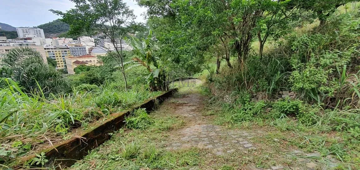 Terreno, 8000 m² - Foto 6