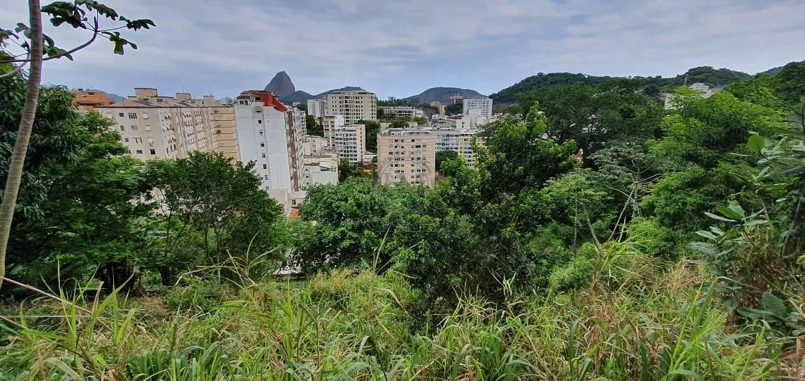 Terreno, 8000 m² - Foto 4