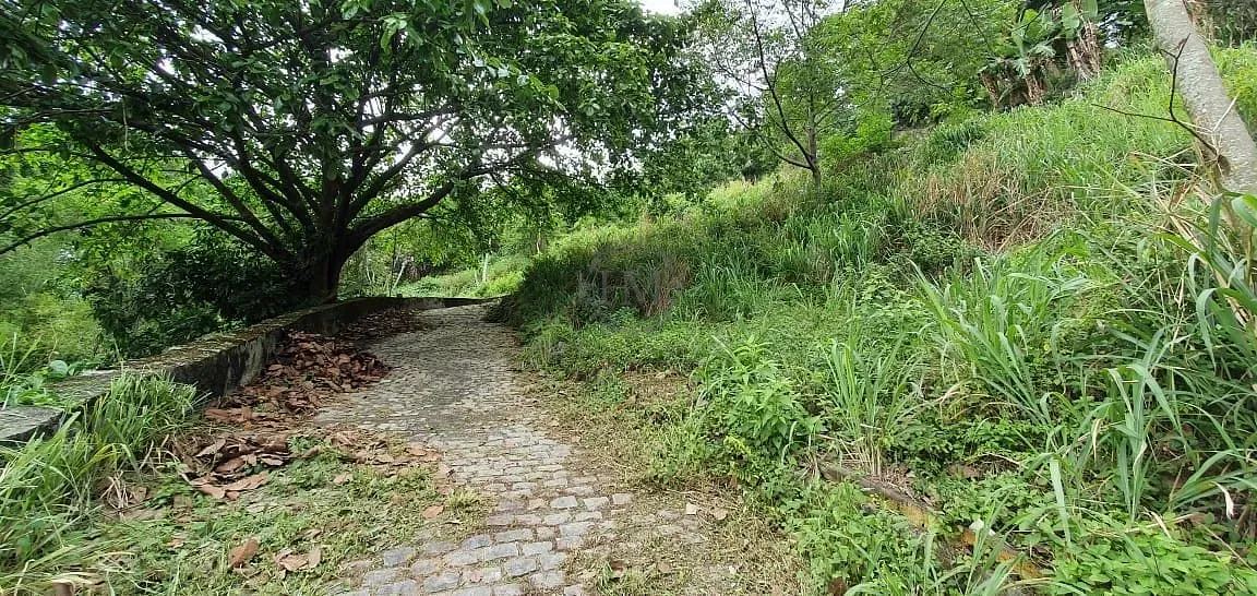 Terreno, 8000 m² - Foto 10