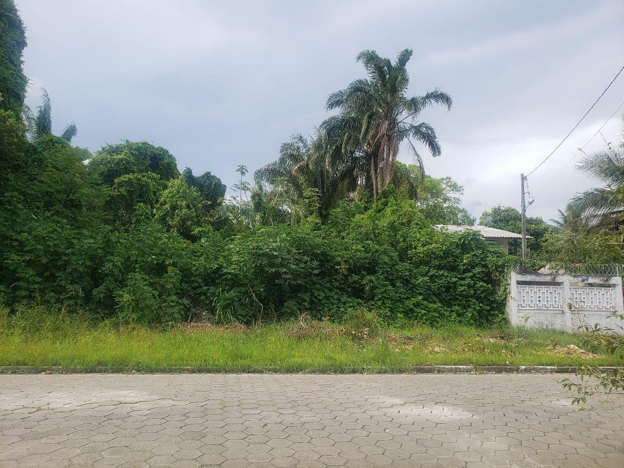 Terreno, 500 m² - Foto 1