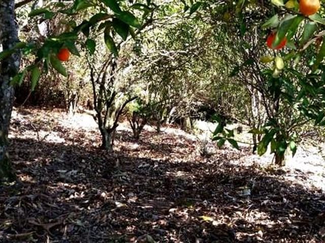 Foto do Terreno - Terreno à venda, 2200 m² por R$ 190.000,00 - Recanto das Tamoios - São José dos Campos/SP | INDEPENDENCE NEGOCIOS IMOBILIARIOS LTDA
