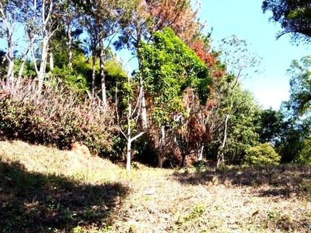 Foto do Terreno - Terreno à venda, 2200 m² por R$ 190.000,00 - Recanto das Tamoios - São José dos Campos/SP | INDEPENDENCE NEGOCIOS IMOBILIARIOS LTDA