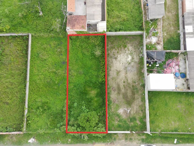 Foto do Terreno - Terreno plano com 12m de frente por 30m de profundidade, em rua tranquila e próximo ao comércio local do bairro  do Morro do Algodão em Caraguatatuba - SP | Innova Imobiliária