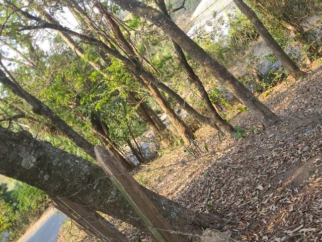 Terreno com 1340m², à venda, no bairro Durando Mumare (Mailasqui) em São Roque