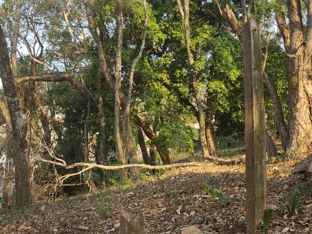 Terreno com 1340m², à venda, no bairro Durando Mumare (Mailasqui) em São Roque