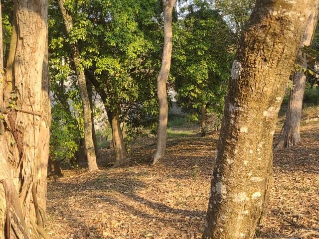 Terreno com 1340m², à venda, no bairro Durando Mumare (Mailasqui) em São Roque