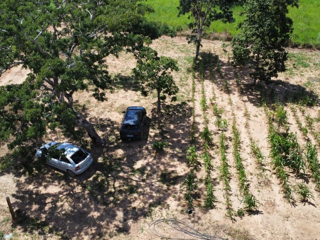 Foto do Terreno - Terreno à venda 20000M², Zona Rural, Piracanjuba - GO | Lopes e Pinheiro Imóveis