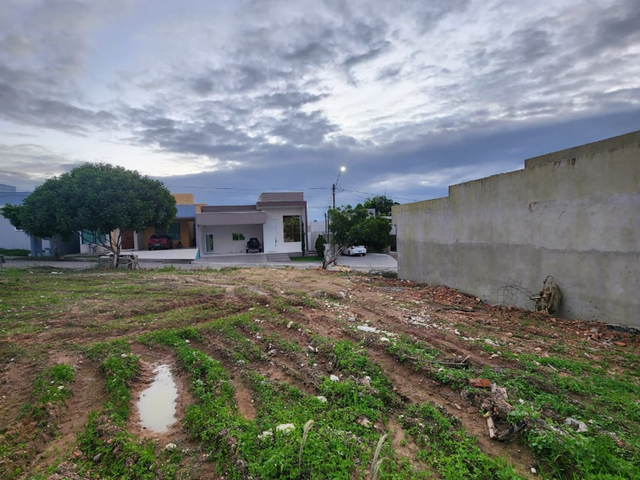 Terreno com 300m², à venda, no bairro Canafístula em Arapiraca