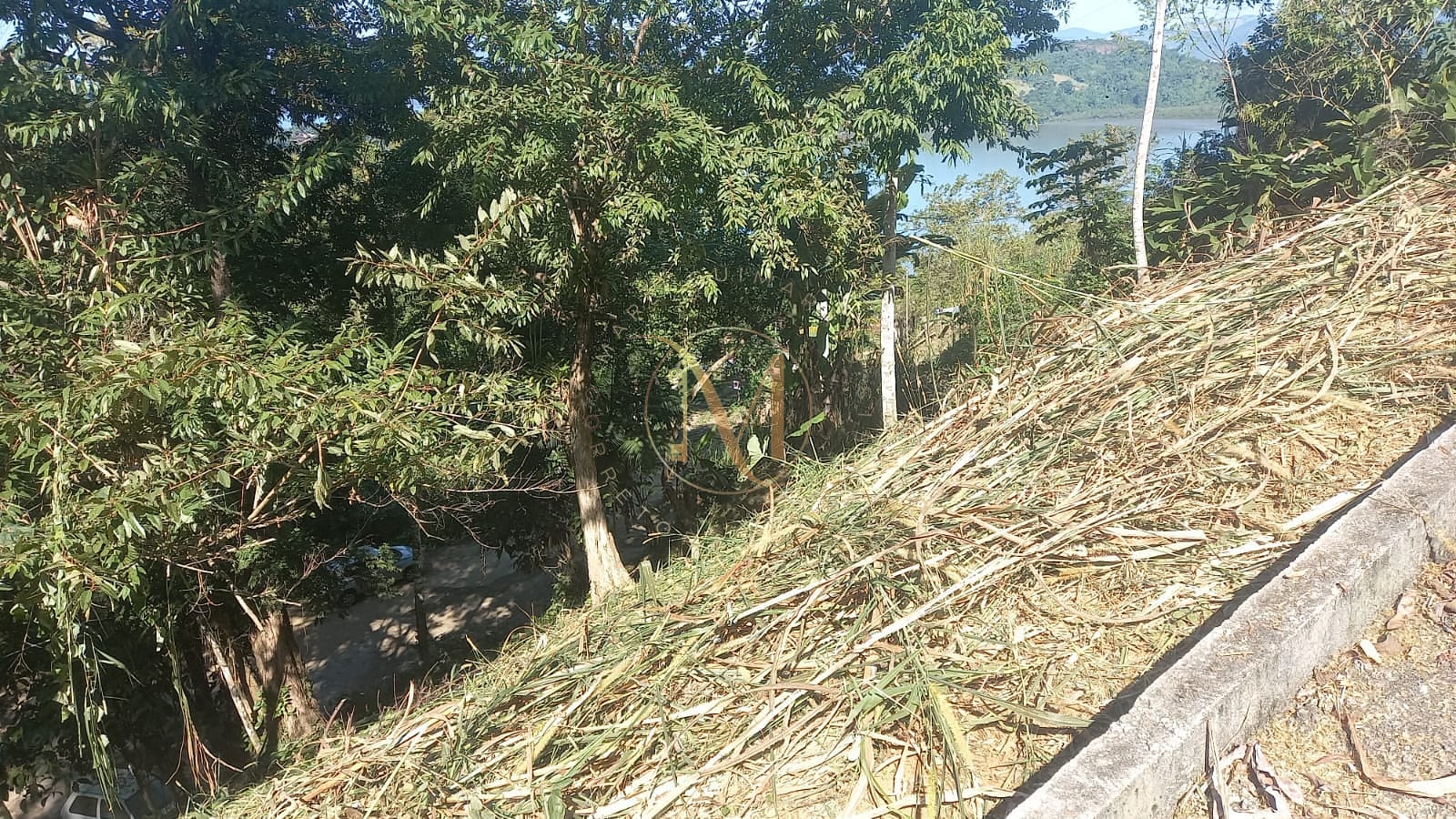 Terreno, 962 m² - Foto 3