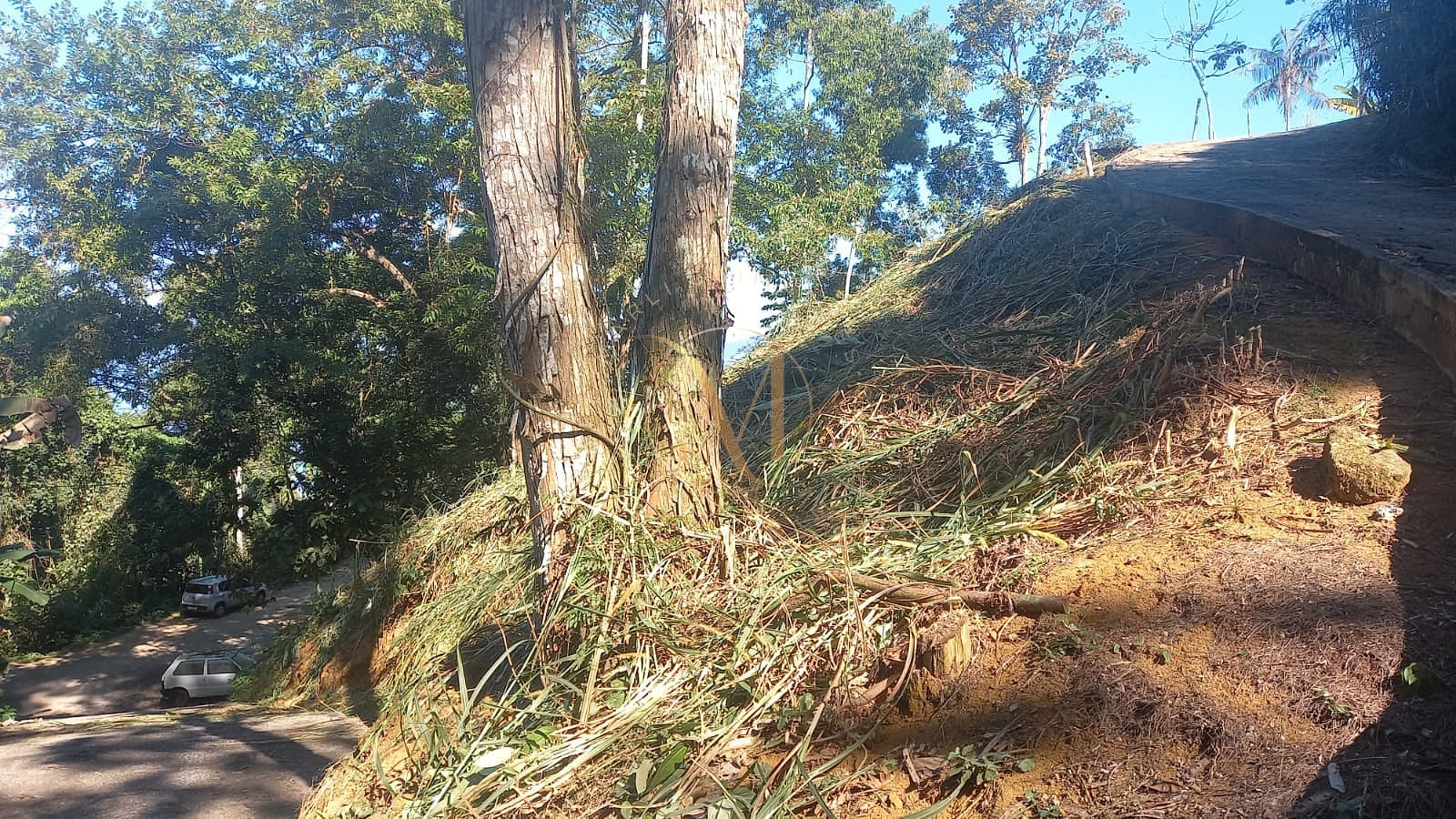 Terreno, 962 m² - Foto 5