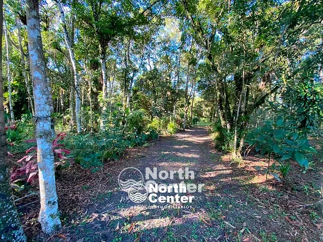 Terreno com 5243m², à venda, no bairro Tetequera em Balneário Barra do Sul