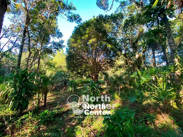 Terreno com 5243m², à venda, no bairro Tetequera em Balneário Barra do Sul