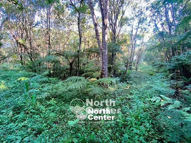 Terreno com 5243m², à venda, no bairro Tetequera em Balneário Barra do Sul