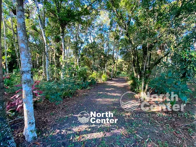 Terreno com 5243m², à venda, no bairro Tetequera em Balneário Barra do Sul