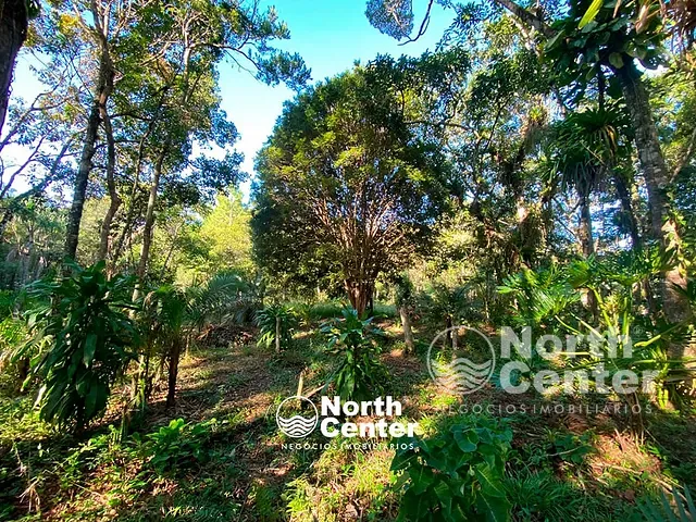 Terreno com 5243m², à venda, no bairro Tetequera em Balneário Barra do Sul