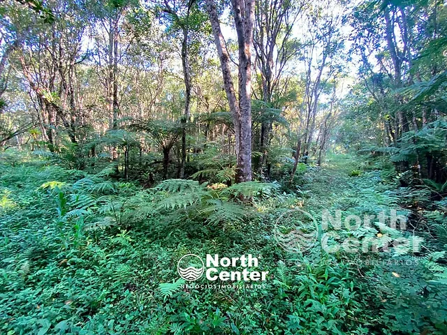 Terreno com 5243m², à venda, no bairro Tetequera em Balneário Barra do Sul