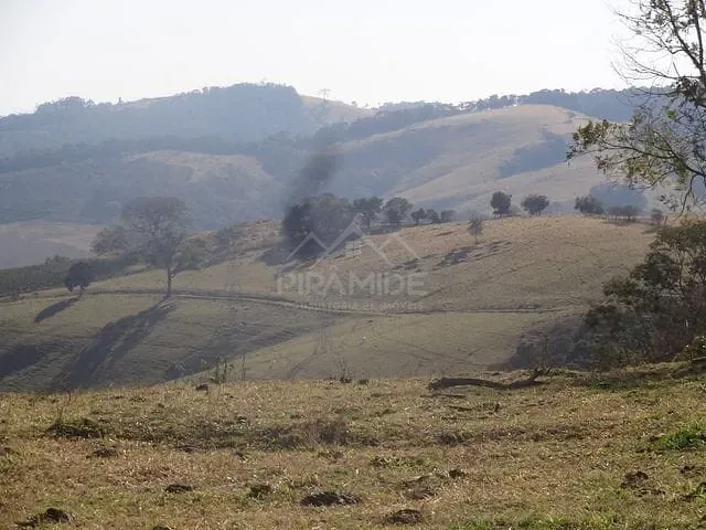 Fazenda / Sitio com 258600m² 2 quartos e 1 banheiro, à venda, no bairro Campestrinho em Divinolândia