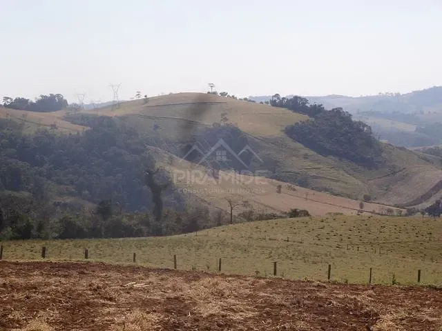 Fazenda / Sitio com 258600m² 2 quartos e 1 banheiro, à venda, no bairro Campestrinho em Divinolândia