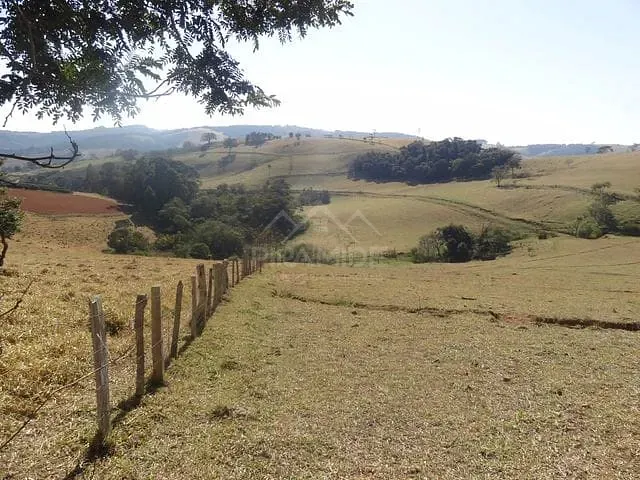 Fazenda / Sitio com 258600m² 2 quartos e 1 banheiro, à venda, no bairro Campestrinho em Divinolândia