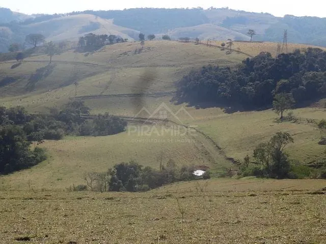 Fazenda / Sitio com 258600m² 2 quartos e 1 banheiro, à venda, no bairro Campestrinho em Divinolândia