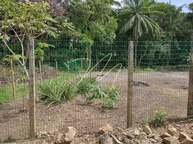Terreno com 1815m², à venda, no bairro Aritaguá em Ilhéus