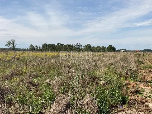 Terreno com 10000m², à venda, no bairro Fragata em Pelotas