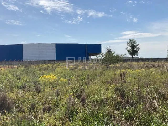 Terreno com 10000m², à venda, no bairro Fragata em Pelotas