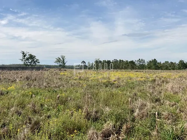 Terreno com 10000m², à venda, no bairro Fragata em Pelotas