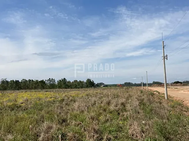 Terreno com 10000m², à venda, no bairro Fragata em Pelotas