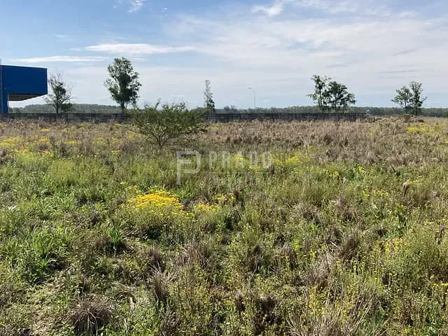 Terreno com 10000m², à venda, no bairro Fragata em Pelotas